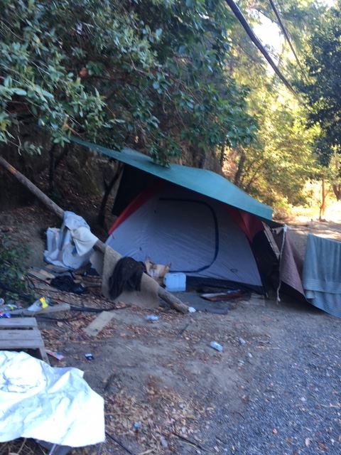 Homeless Camp Operation 9/29/2016